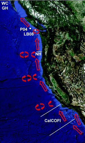 Fig. 15 Pathway of the California Undercurrent and sub-surface eddies formed along its flow (red arrows). The white labels indicate the locations of the studies listed in Table 2.