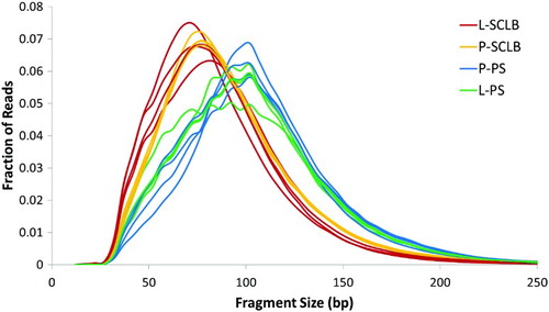 Figure 2.  Distribution of RNA-seq fragment sizes of 16 samples. Fragment sizes for each paired-end sequencing library were inferred from the separation of read pairs, which were mapped to the human reference genome using novoalign. It is clear that the average RNA fragments from samples purified by Pure Sperm (Blue and Green) is longer than that from SCLB (Red and Orange). P: pelleted storage; L: liquefied storage; PS: PureSperm purification; SCLB: somatic cell lysis buffer purification.