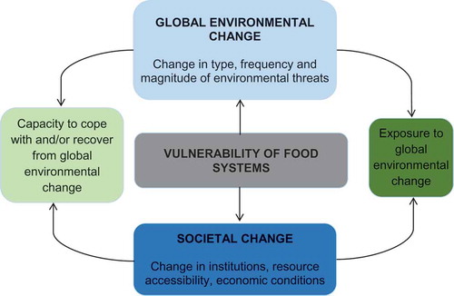 Figure 1. Factors determine the vulnerability of food systems to global environmental change.Source: Ingram, Gregory, and Brklacich (Citation2005)