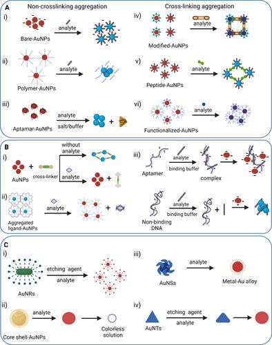 Figure 4. Representation of some common mechanisms in AuNPs-related surface plasmon resonance-based colorimetric sensors. A(i–iii) Non-crosslinking aggregation mechanisms involving removal of surface stabilization around nanoparticles whereas A(iv–vi) cross-linking aggregation strategies promote intermolecular bond formation between ligand-functionalized AuNPs and analyte; B(i) anti-aggregation method based on analyte triggered switch of linker molecule from active to suppressed state that promotes the dispersed state of AuNPs whereas B(ii) dispersion of AuNPs happen in the presence of analyte without participating any linker molecule; B(iii) nano-affinity assisted assay utilizing target-specific aptamer to form target-aptamer complex for anti-aggregation-based detection, whereas in the presence of non-binding DNA/aptamer sequence, the target analyte induces aggregation of AuNPs.; C(i–iv) etching-based mechanisms in the presence of an analyte showing morphological changes in shape and/or size of AuNPs by the action of etchants to stimulate colorimetric plasmonic response.