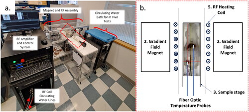 Figure 4. Assembled hyper prototype. (a) In addition to the magnet and AMF assembly, the system includes a rack containing control systems, an RF amplifier, a water chiller, and animal heater. The chiller circulates water through the RF coil, with temperature that can be varied between 20 °C and 40 °C. The animal heater circulates water through the sample stage during in vivo experiments to maintain the core body temperature of the mouse models. (b) Diagram of the sample stage orientation within the HYPER, denoted by the dashed box.