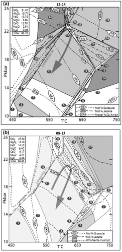 Figure 9. (a) Sample 12–25 (Çamlıca region). The stability conditions shown in field 21 for this eclogite sample were constrained by the observed assemblage of omp + grt + ph + Na-amp + Ca-amp + ep + zo + rt + qz. isopleths of XJd, XGrs and wt.% Ca in amphibole using the NCKFMASH system. (b) Sample 08–13 (Çetmi region). The stability conditions shown in fields 13–14 for this eclogite sample were constrained by the observed assemblage of omp + grt + ph + Na-amp + ep + zo + rt + qz. Isopleths of XJd, XGrs and ratio of wt.% Na/Ca in amphibole using the NCKFMASH system. The reaction curves are calculated with the software PERPLE_X and database of Holland and Powell (1990).