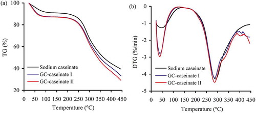 FIGURE 4 (a) Original thermogravimetric (TG) curves for sodium caseinate, GC-caseinate I and II, and (b) the respective derivative function (DTG) versus temperatures ranging from ambient temperature to 450°C.