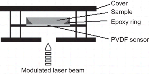 Figure 1 The IPPE sensor.