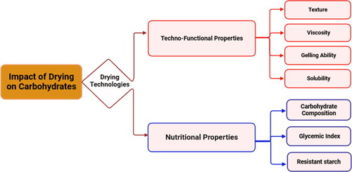 Figure 2. Impact of drying techniques on carbohydrates.