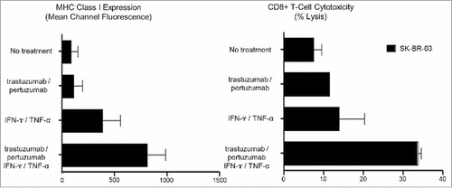 Figure 1. The effect of CD4+ Th1 cytokines (IFNγ/TNFα) and HER2 targeted monoclonal antibodies (Trastuzumab/Pertuzumab) on MHC class-I expression and CD8+ T-cell mediated cytotoxicity in SK-BR-3 cells (E:T = 10:1). Both HLA-A2 MHC class I expression and CD8+ cytotoxicity remained low following treatment with Trastuzumab alone (96.4 ± 70.6 MCF, 11.7%), Pertuzumab alone (103.4 ± 81.6 MCF, 9.7%), and Trastuzumab/Pertuzumab (113.8 ± 83.2 MCF, 11.5%), at levels similar to MHC class I expression without treatment (87.1 ± 64.9 MCF, 9.5%). HLA-A2 MHC class-I expression and CD8+ cytotoxicity both increased following treatment with IFNγ/TNFα (386.6 ± 171.4 MCF, 20.4%), IFNγ/TNFα and Trastuzumab (512.9 ± 95.1 MCF, 28.9%), IFNγ/TNFα and Pertuzumab (486.3 ± 166.7 MCF, 28.6%), with the greatest increase following treatment with IFNγ/TNFα and Trastuzumab/Pertuzumab (813.3 ± 117.8 MCF, 34.6%).