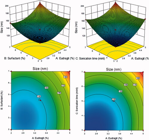 Figure 1. (A–D) 3D-response surface plots and 2D contour plot showing the influence of independent variables [eudragit (%), tween 80 (%), and sonication time (minutes)] on particle size (nm) for the SIT-NPs.