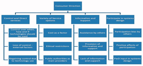 Figure 4. Consumer direction and its subcategories.