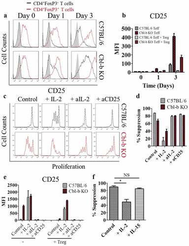 Figure 4. IL-2 signaling in Cbl-b KO CD4+FoxP3− T cells mediate Treg cell resistance