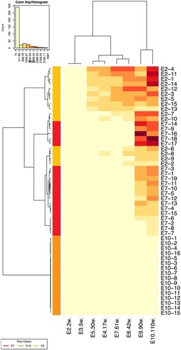 Figure 6. Heatmap to analyze the neutralization sensitivity between the plasma pools and the pseudoviruses at different time points. The data are adapted from a previous publication [Citation8].