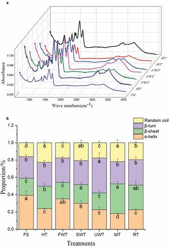 Figure 6. Effect of different thawing methods on ATR-FTIR spectra (A), secondary structure content (B), second-derivative fitted curve of the Amide I band (C) of myofibrillar protein in cuttlefish. The letters “a–c” indicate significant differences (P < .05).