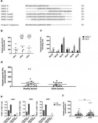 Figure 3. The long ARG2 peptide A2L2 elicits strong and frequent CD4 + T-cell responses in samples from healthy donors and cancer patients. (a) Aligned peptide sequences of the library peptides ARG2-0, ARG2-1, and ARG2-2 and the long peptides ARG2-Long1 (A2L1), ARG2-Long2 (A2L2), and ARG2-Long3 (A2L3). The signal sequence of ARG2 is shown for comparison. (b) IFNγ ELISPOT responses against the long peptides A2L1, A2L2, and A2L3 in PBMCs from six healthy donors. 4 × 105 cells were plated per well, and peptide and control stimulation were performed in triplicate. Specific spot counts (peptide-specific IFNγ-secreting cells) are given as the difference in number of IFNγ spots between averages of the wells stimulated with peptide and control wells. Responses against peptide were too numerous to count (TNTC) in 3 settings and set to be >750 spots. (c) IFNγ ELISPOT responses to A2L2 and ARG2-1 in PBMCs from 6 healthy donors. 4 × 105 cells were plate per well, and peptide and control stimulation were performed in triplicate. Specific spot counts (peptide-specific IFNγ-secreting cells) are given as the difference in number of IFNγ spots between averages of the wells stimulated with peptide and control wells. * p ≤ 0.05 or ** p ≤ 0.01 according to the distribution free resampling rule. (d) IFNγ ELISPOT responses against A2L2 peptide in PBMCs from healthy donors (n = 30) and cancer patients with solid tumors (n = 18). 3–4 × 105 cells were plated per well. Peptide and control stimulations were performed in triplicate. Each spot represents one donor and is the number of peptide-specific IFNγ-secreting cells (the difference between the average of wells stimulated with peptide and control wells). (e) Representative intracellular cytokine staining for IFNγ and TFNα production in samples from healthy donors (HD48 and HD53) and a cancer patient (AA27) with solid tumors stimulated with A2L2 or non-stimulated control. (f) FNγ ELISPOT responses to ARG2-1 and A2L2 in PBMCs from healthy donors (n = 26) and cancer patients with solid tumors (n = 11) for comparison of the magnitude of responses to the two peptides. 4 × 105 cells were plated per well, and peptide and control stimulation were performed in triplicate. Specific spot counts (peptide-specific IFNγ-secreting cells) are given as the difference in number of IFNγ spots between averages of the wells stimulated with peptide and control wells. ns: p = .7038.