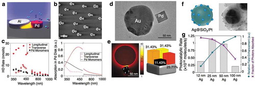 Figure 3. Optical and catalytic response of antenna–reactor systems (a) Schematic of an antenna–reactor system with an Al nanodisk antenna and nearby Pd nanodisk reactor. (b) SEM of the Al-Pd antenna–reactor system created via hole-mask lithography. Scale bar is 200 nm. (c) (left) Measured performance on hydrogen dissociation (measured via HD generation) for different illumination wavelengths and polarizations (filled vs open circles). (right) Computed absorption in the Pd nanodisk at various illumination wavelengths. The hydrogen dissociation rate follows the spectral response. (d) Transmission electron microscope (TEM) image of an another antenna–reactor geometry that combines a lithographically patterned Au nanodisk antenna with a nearby colloidally synthesized Pd nanocube reactor. (e) Computed electric field enhancement for an antenna–reactor system under plane wave excitation at 690 nm and the spatial distribution of the phase transition nucleation corner across 35 phase transformations, with 1 indicating the closest corner to the antenna and 4 indicating the furthest. (f) Schematic and TEM image of a colloidally synthesized antenna–reactor system with a 50 nm Ag spherical core, surrounded by an 8–10 nm SiO2 spacer shell, and decorated with Pt reactor nanoparticles. (g) Photocatalytic rate of CO oxidation over Ag@SiO2/Pt photocatalysts compared across Ag antennas of different sizes. The maximal photocatalytic rate is when both the field enhancement (turquoise circles) and fraction of photons absorbed (purple crosses) are simultaneously maximized. (a-c) Adapted with permission from [Citation25]. Copyright 2016 American Chemical Society. (d,e) Adapted with permission from [Citation27]. Copyright 2018 Nature Publishing Group. (f,g) Adapted with permission from [Citation47]. Copyright 2017 American Chemical Society.