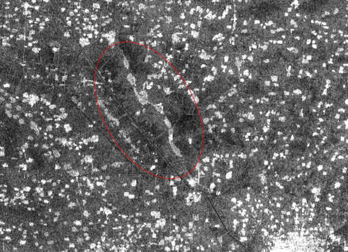 Figure 3.  Subset from the Radarsat-1 mosaic imagery of the study site. The red ellipse denotes the area with a low backscattering coefficient.