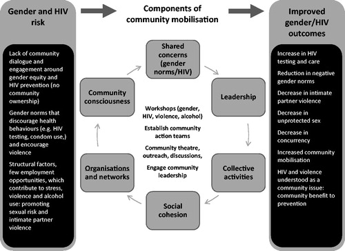 Figure 1. Conceptual framework of intervention, domains of community mobilisation and targeted outcomes (Pettifor et al. Citation2015).