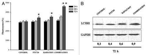 Figure 5. Combination treatment induces autophagosome accumulation in MDA-MB-361 cells. (A) To quantify fluorescent compound MDC incorporated in MDA-MB-361, cells autophagy test was used as described in Methods. *P > 0.05; **P = 0.02. (B) Western blot analysis was performed for LC3B. The equal loading of protein was confirmed by probing with GAPDH.