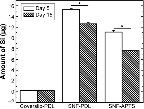 Figure 9 ICP-AES analysis of dissolved silicon from NbActiv1 media cultured with hippocampal neurons grown on the coverslip-PDL, SNF-PDL, and SNF-APTS substrates up to 15 days (*P<0.01).Note: Unshaded, day 5 and dense shade day 15.Abbreviations: SNF, silica nanofiber; ICP-AES, inductively coupled plasma-atomic emission spectroscopy; coverslip-PDL, poly-d-lysine-treated coverslip; SNF-PDL, poly-d-lysine-treated silica nanofiber; SNF-APTS, (3-aminopropyl) trimethoxysilane-modified silica nanofiber.