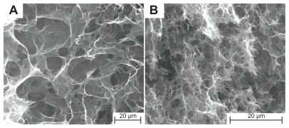 Figure 3 Field emission scanning electron microscopy images of (A) graphene HG-2 and (B) graphene HGS-2.