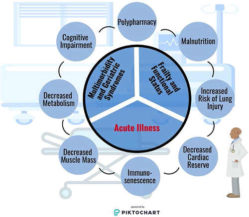 Figure 2 Conditions and concerns for older adults admitted to the intensive care unit. Older adults admitted to the intensive care unit present with a unique constellation of physiologic effects of aging that should be considered. In addition to their acute illness, baseline frailty/functional status, and geriatric syndromes/multimorbidities greatly impact outcomes. Additional influences that must be considered by the clinician includes presenting or iatrogenic polypharmacy and malnutrition as pose as potentially modifiable clinical factors. Physiologic conditions including cognitive impairment, alterations in metabolism, decreased muscle mass, immunosenescence, cardiac reserve, and an increased risk of lung injury are all common among older adults. Image is powered by Piktochart.