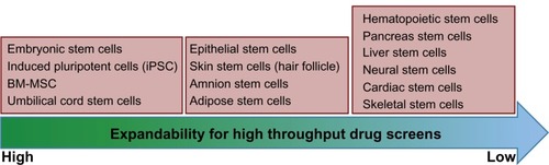 Figure 2 Different types of stem cells and their potential to be used in large-scale screens. The different types of cells are arranged in three boxes indicating high, medium, and low expandability.