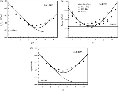 Figure 5. The observed Gibbs free energy (ΔbGobs) of EZA (Panel A) and TFS (Panel B) binding to CA I, and EZA binding to CA II (Panel C) at various pH. TFS binding to CA I was determined by ITC in Tris-chloride (open triangle, Panel B) and sodium phosphate (open diamond) buffers and by FTSA (filled square). EZA binding to CA I and CA II was performed by FTSA (Panels A and C). Solid line shows the fit according to Equation (2) using parameters listed in tables. Dashed and dotted lines show the contributions of deprotonated ligand and protonated CA, respectively. Straight line shows the intrinsic Gibbs free energy of binding.