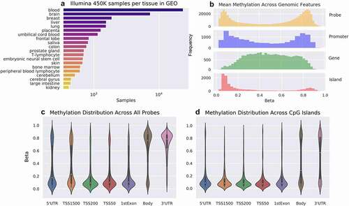 Figure 1. CpG Methylation contains different distributions across genomic features. (a) 23,145 Illumina HumanMethylation450k microarrays were annotated with tissue names using ALE. (b) The distribution of average methylation across mean TSS1500 (‘Promoter’), mean gene body (‘Gene’), and CpG Islands (‘Island’) shows a bimodal distribution in the promoters and hypomethylation in CpG Islands. (c) The average probe level methylation across all genomic features differs from CpG-Island-specific probes, with (d) fewer hypermethylated loci around the gene body.