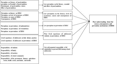 Figure 1 The summary of main theme, themes, and subthemes identified in the thematic analysis of the study among adolescents in Debre Berhan City, Ethiopia, 2022.