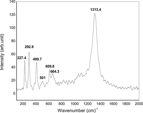 Figure 3. Raman spectrum of the synthesized nanoparticles.