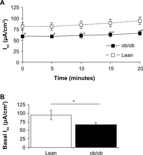 Figure 1 Jejunum basal Isc. (A) Average raw trace data of recordings of basal Isc (μA/cm2), from freshly isolated jejunum, recorded from time 0–20 minutes. (B) Average steady state basal Isc (at time =20 minutes), from lean mice (open bar) and ob/ob mice (solid black bar).
