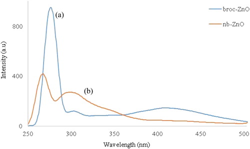 Figure 5. Photoluminescence spectra of (a) broc-ZnO and (b) nb-ZnO nanoparticles.