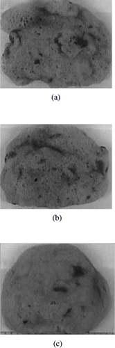 Figure 1 Examples of the appearance and integrity of microwave baked soy cookies enclosed in different types of packaging films: (a) EMIR; (b) PTFE; and (c) ePTFE.