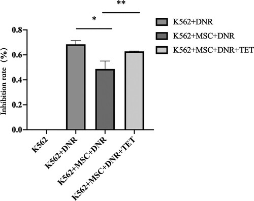 Figure 3. Inhibition rate of DNR on K562 with different treatments. Data are presented as mean ± SEM and analyzed by one-way ANOVA compared to the vehicle control (*)with statistical significance at P < 0.05, between K562 + BM-MSC + DNR and K562 + BM-MSC + DNR + TET (**) with statistical significance at P < 0.05.