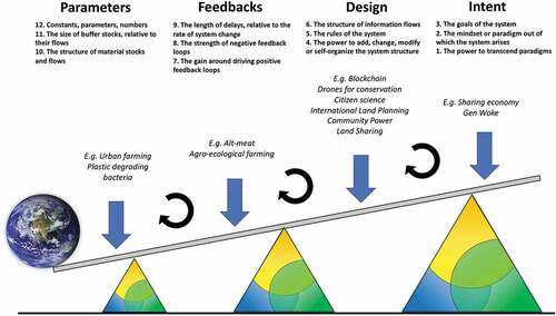 Figure 2. The leverage points framework presented here uses Meadows’s Citation1999 “Places to Intervene in a System” to illustrate that shallow leverage points (7-12) are concerned with changing parameters and feedback in a system whereas the deeper leverage points (1-6) aim to change design and intent (See Abson et al., Citation2017). Examples of the seeds from the Youth workshop are mapped onto the figure. The NFF triangle can be seen as the pivot that can shift along the lever to open up more radical alternatives that can make it easier to find deep leverage points. The increasing size of triangles represents the increasing deepness of the leverage. (Figure adapted from Fischers & Riechers, Citation2019).