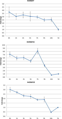 Figure 4. qRT-PCR expression analysis of three selected TDFs during the full course of H. rhodopensis RAF. 0 h: freezing desiccated state (8% RWC); 1, 3, 5, 7, 9, 24 h, 7 d: hours (days) after rewatering. Error bars on each column represent the SD of three replicates.