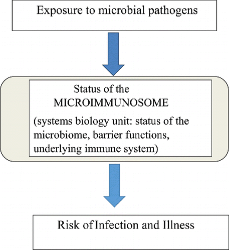 Figure 1. The diagram illustrates the systems biology concept of the microimmunosome [microbiome, barrier functions (including mucin and eukaryotic cells in the lining), underlying immune system] as it is related to the risk of infection and illness following exposure to microbial pathogens. The microbiome is the front-line factor affecting the opportunity for microbial pathogens to produce disease. It is also the critical, missing piece when the health risk for the human superorganism is considered. Because individual microbes within the microbiome cross regulate each other and the individual components of the microimmunosome also cross regulate, the status of the systems' complex as a whole can be operationally useful from the perspective of health risks. In context of this series of papers, the issue becomes less a question of whether a pathogen is likely to reach the gut and instead focuses on the likely health outcomes once the pathogen encounters the microbiome and the microbe–host complex (the microimmunosome).