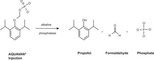 Figure 1 The conversion of fospropofol into its metabolites. Reproduced with permission from Gibiansky E, Struys M, Gibiansky L, Vanluchene A, et al. Aquavan® injection, a water-soluble prodrug of propofol, as a bolus injection: a phase I dose-escalation comparison with Diprivan® (Part 1 – Pharmacokinetics). Anesthesiology. 2005;103:718–729.Citation34 Copyright © 2002 Wolters Kluwer Health.
