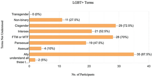 Figure 2. Summary of the responses of terms not understood in the acronym LGBT.