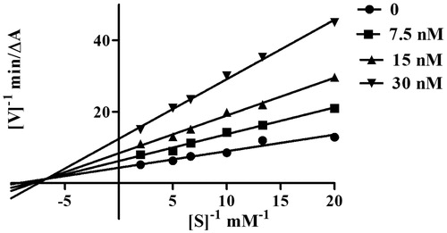 Figure 2. Kinetic study on the mechanism of EeAChE inhibition by compound 5l. Overlaid Lineweaver–Burk reciprocal plots of AChE initial velocity at increasing substrate concentration (0.05–0.50 mM) in the absence of inhibitor and in the presence of compound 5l are shown. Lines were derived from a weighted least-squares analysis of the data points.