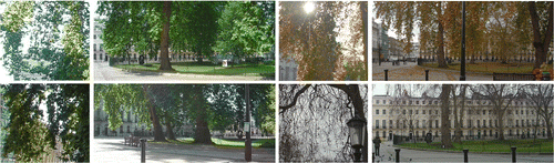 Figure 23 Natural place-rhythms at Fitzroy Square–four season comparison.