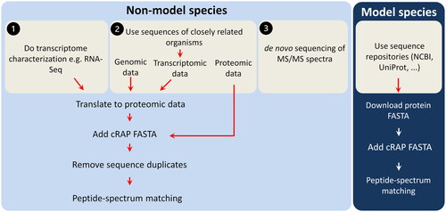 Figure 2. Workflow of database creation for model and non-model microalgae species. Common Repository of Adventitious Proteins (cRAP) in FASTA format is added to the microalgae of interest protein FASTA to include common protein contaminants. Sequence duplicates are removed using software packages, e.g., the open source tool SeqKit [Citation96].