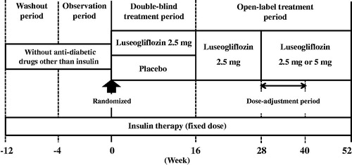 Figure 1. Study design. When patients provided written informed consent, those who had been administered insulin + an oral anti-diabetic drug entered the washout period. Patients treated with insulin monotherapy entered the observation period. If the prespecified criteria were met, the investigators could increase the luseogliflozin dose to 5 mg between Weeks 28 and 40.