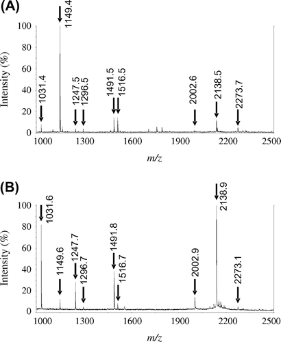 Fig. 2. MALDI-TOF-MS analysis of PYG tryptic peptides.