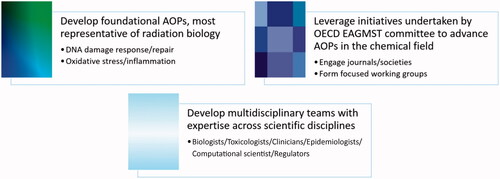 Figure 2. Key aspects to building radiation adverse outcome pathways and networks.