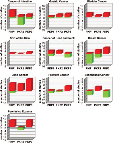 Figure 3. Changes in PKP expression in various tumors.The NextBio Disease Atlas (CitationKupershmidt et al., 2010) was used to identify studies showing significantly altered expression of the PKPs in various cancers compared to the corresponding normal tissues. Red bars correspond to the number of studies showing up-regulation, green bars indicate the number of studies showing a down-regulation of PKP-mRNA levels.