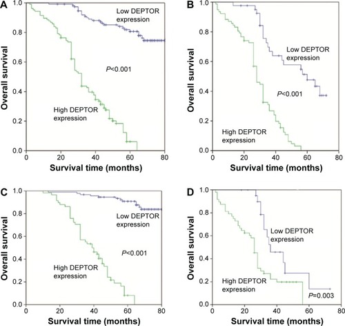 Figure 4 Kaplan–Meier analysis showing the OS of patients with ESCC.