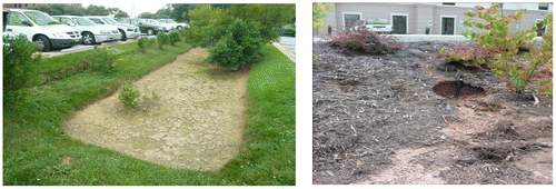Figure 6. A clogged bioretention cell (left) with an example of internal erosion (right).