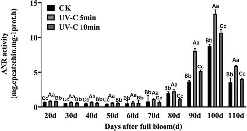 Figure 4. VvANR activity analysis with UV-C irradiation during the grape berry development. Sampling was performed 5 days after irradiation. Upper case letters indicate significant differences at t-test p < .01 and lowercase letters indicate significant differences at p < .05