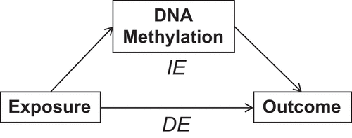 Figure 1. Mediation model with DNA methylation as the mediator.