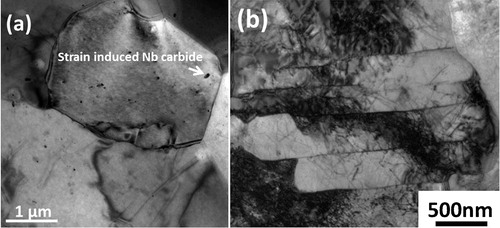 3. Typical TEM images showing a ferrite with interior strain induced Nb carbides and b granular bainite in strip Nb–3Mo