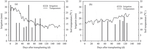 Figure 2. Irrigation events and the soil temperature at 15 cm depth in the first season (a) and the second season (b).